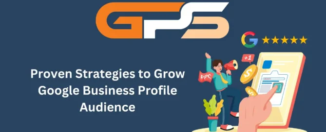Google Business Profile Audience